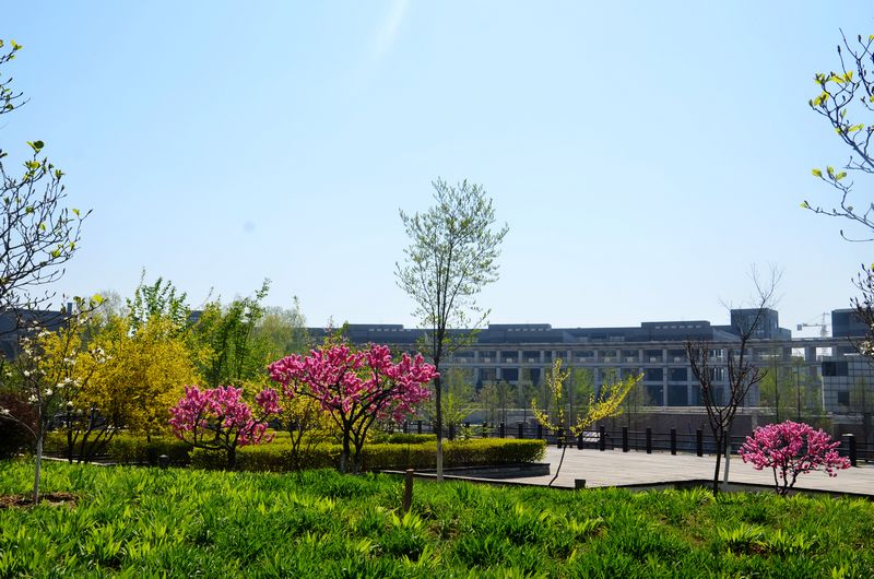 bb电子游戏官网(中国)官方网站