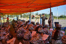 bb电子游戏官网(中国)官方网站