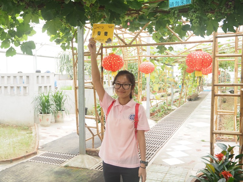 bb电子游戏官网(中国)官方网站