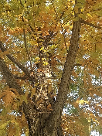 bb电子游戏官网(中国)官方网站