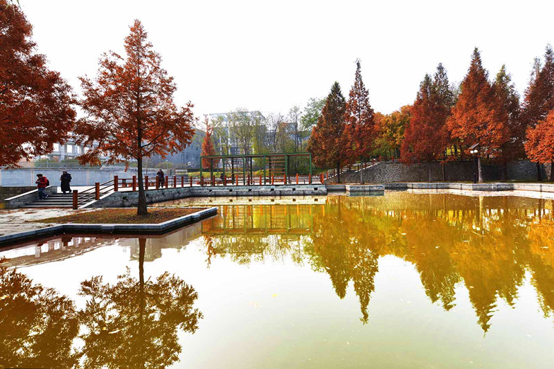 bb电子游戏官网(中国)官方网站