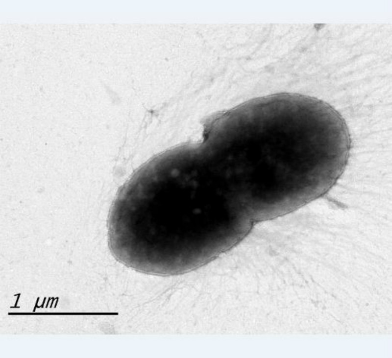 bb电子游戏官网(中国)官方网站
